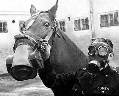 Horse gas mask war